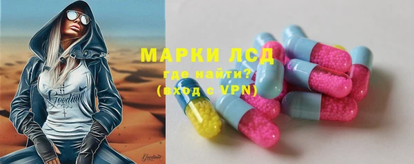 индика Володарск