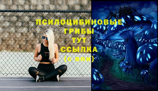 индика Володарск